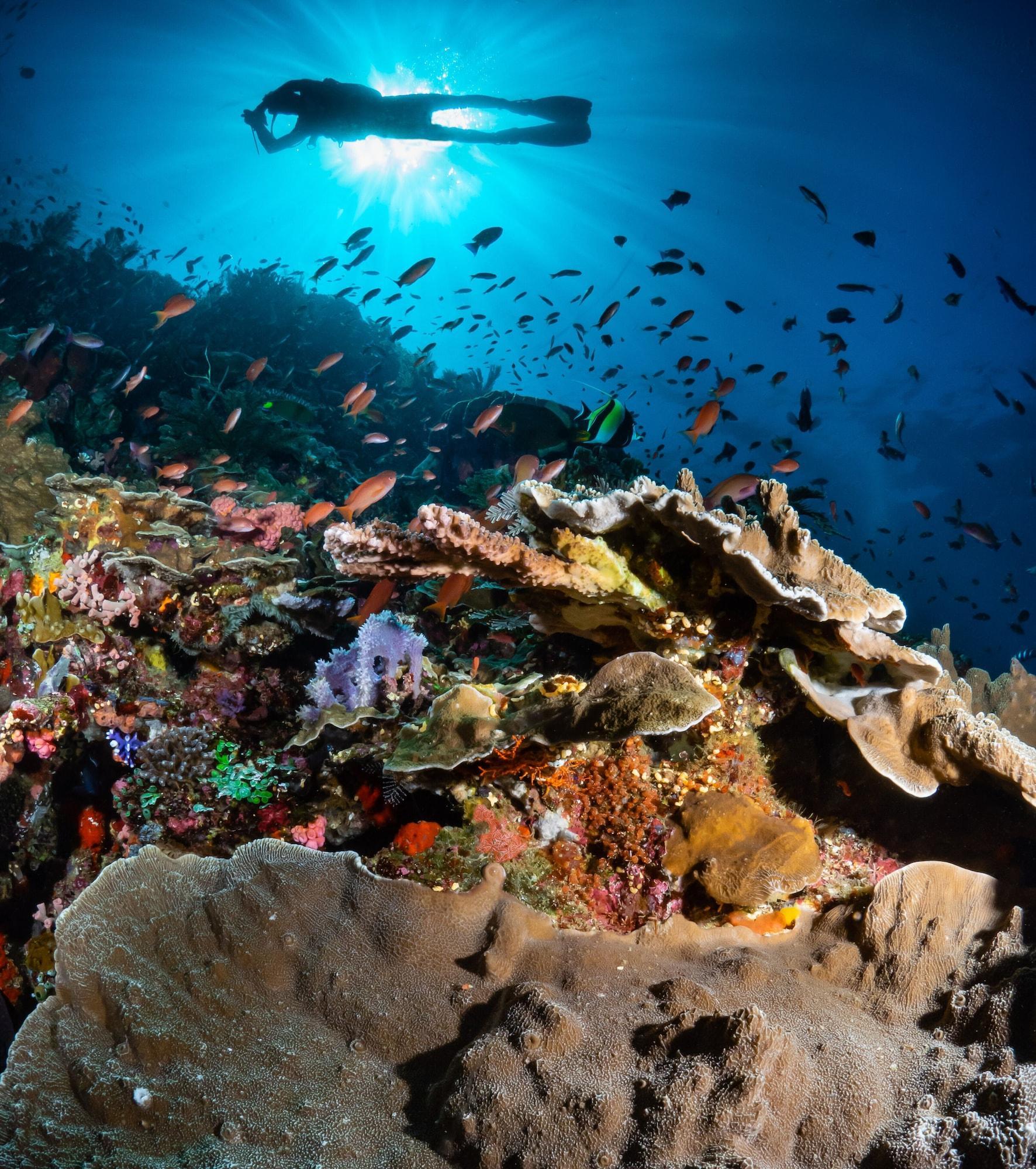 Dragon Dive Komodo Dive Resort Labuan Bajo Buitenkant foto
